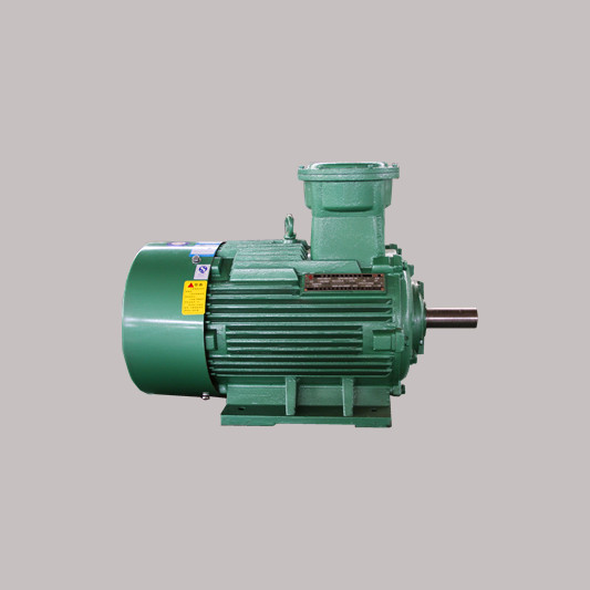 Exd IIC T4늙C(j)